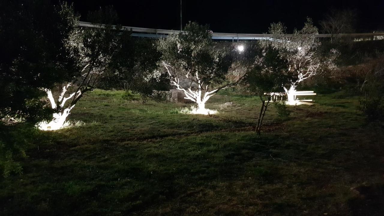 Kuca Za Odmor Jelena Vila Starigrad Paklenica Exterior foto