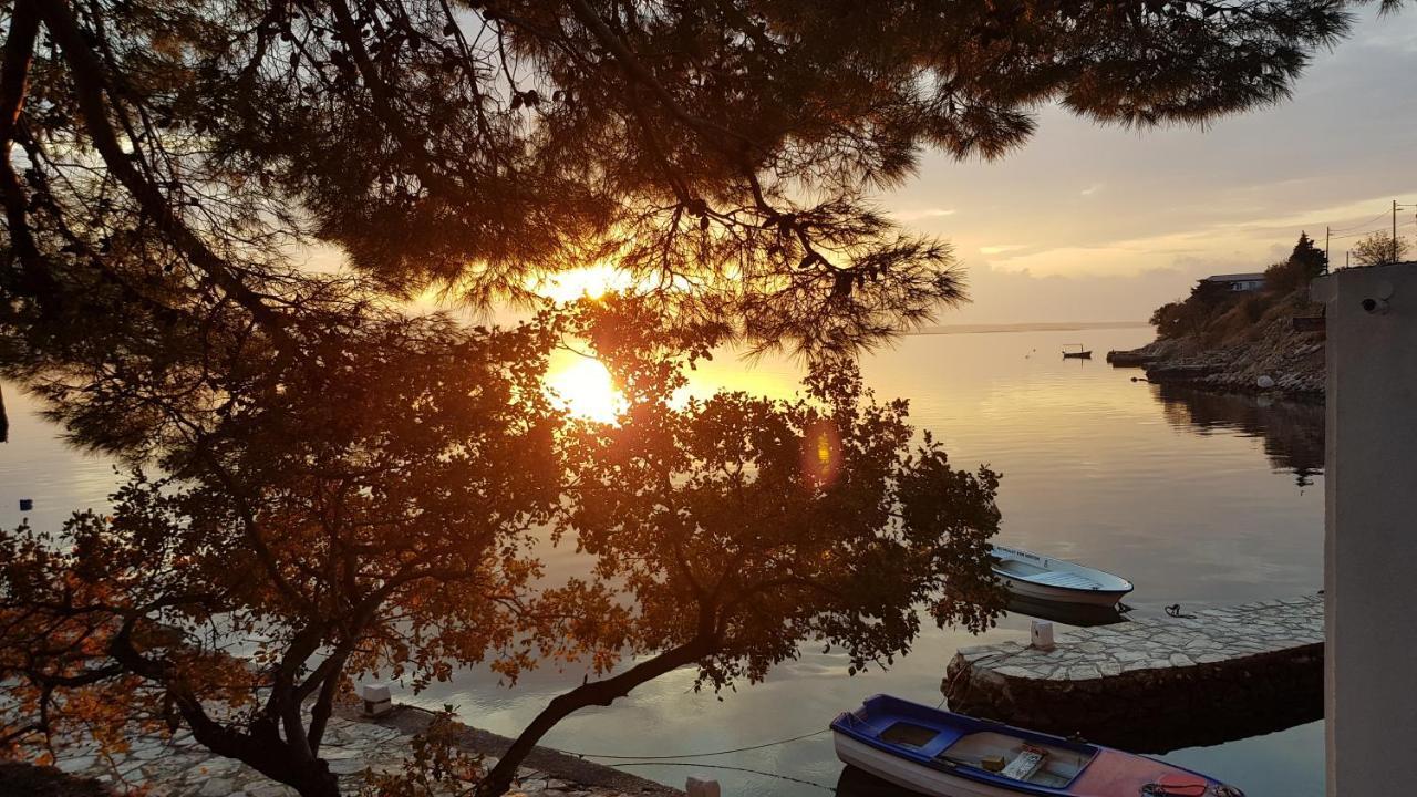 Kuca Za Odmor Jelena Vila Starigrad Paklenica Exterior foto